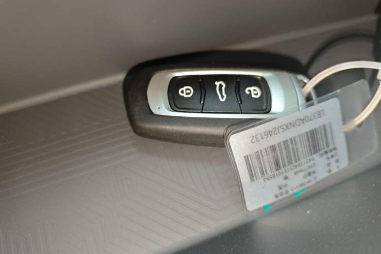 Used  Panda 2024 Panda Mini 200km Endurance Bear