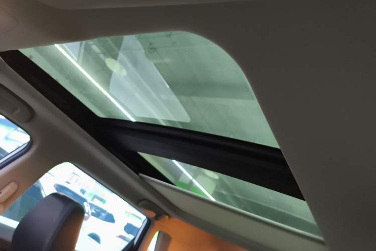 Used Venucia T60EV 2020 AI Flagship Model