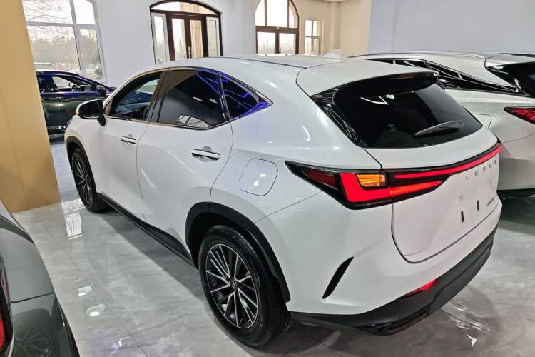 Used Lexus NX 2024 350h Front-Drive Xinchu Version