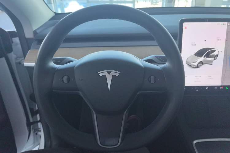 Used Tesla Model Y 2021 Standard Range Rear-Wheel Drive Version
