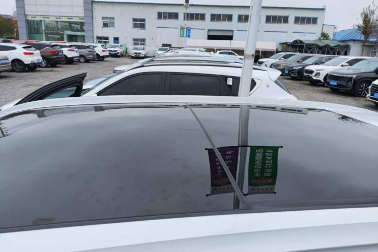 Used Haval H6 2021 National Trend Edition 1.5T Automatic Champion Version
