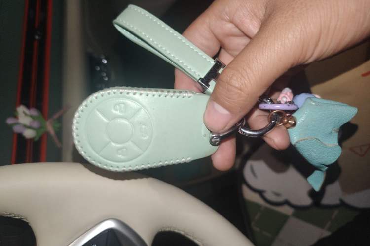 Used ORA Good Cat 2022 400km Standard Range Premium Version Lithium Iron Phosphate
