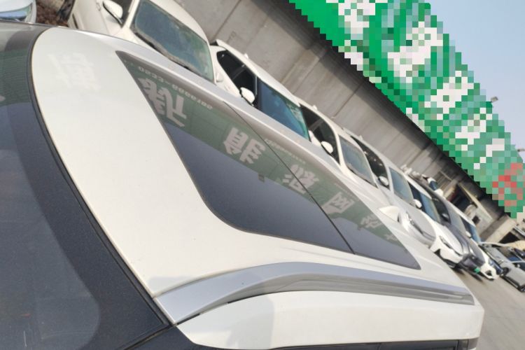 Used Venucia T60EV 2020 AI Enjoyment Model
