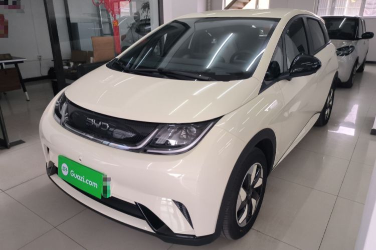 Used BYD Dolphin 2025 420km Free Edition