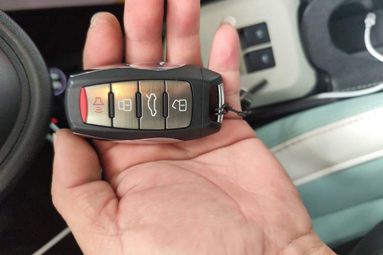 Used ORA Black Cat 2021 301 km Basic Version
