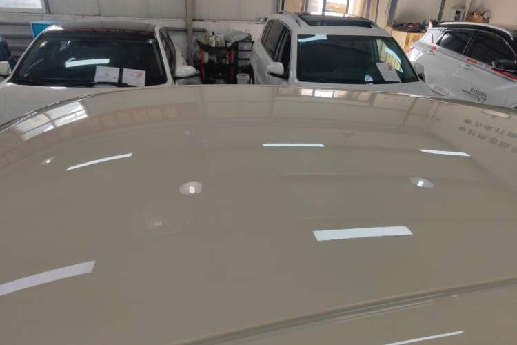 Used  Geome 2025 310km Dream Edition
