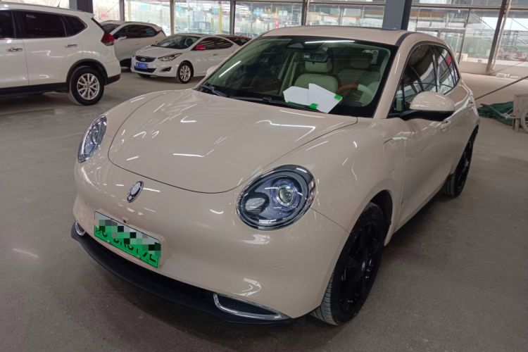 Used ORA Good Cat 2024 401 km Luxury Version