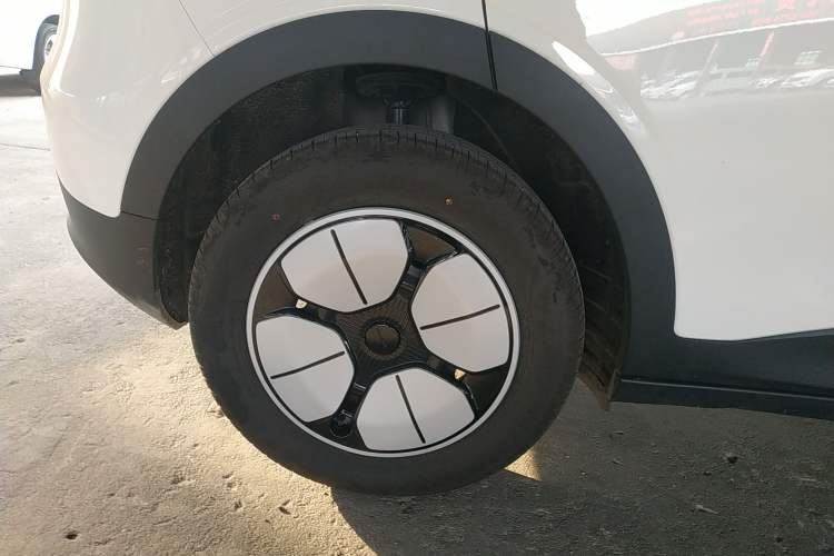 Used  Geome 2025 310km Youth Edition
