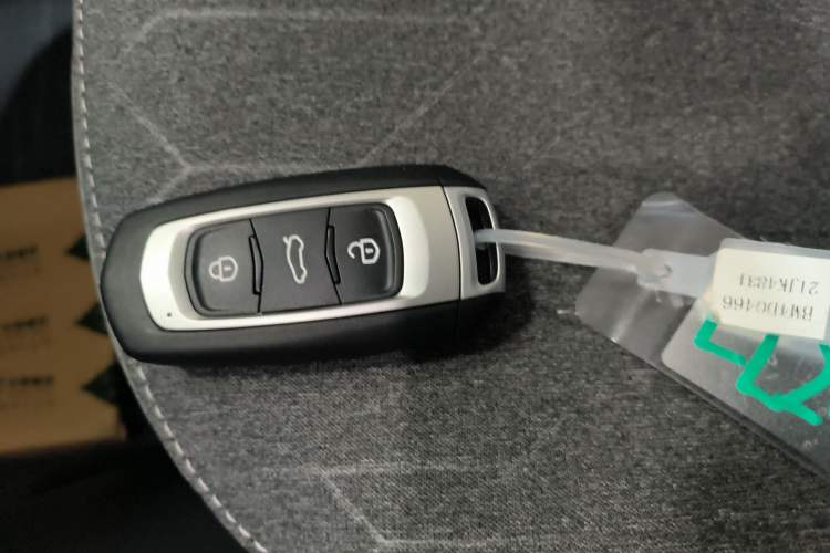 Used  Panda 2024 Panda Mini 200km Endurance Bear
