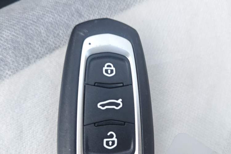 Used  Panda 2025 210 km – Yuanqi Bear
