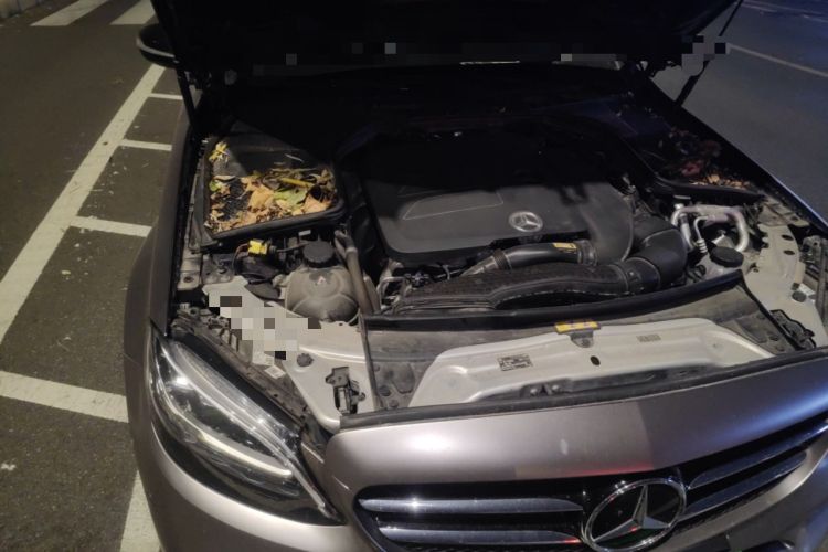 Used Mercedes-Benz C-Class 2020 C 260 Sport Edition
