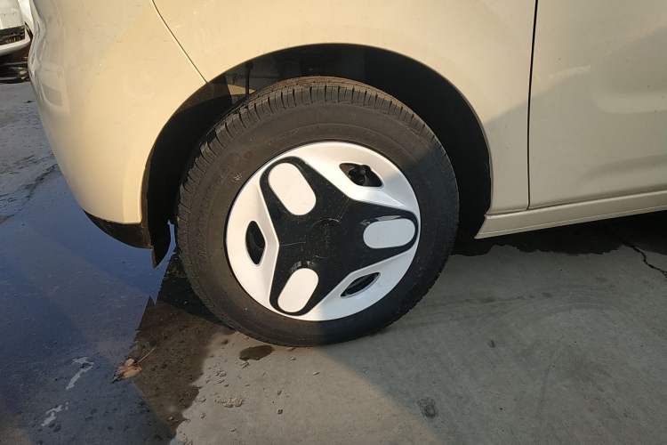 Used  Panda 2025 210 km – Yuanqi Bear
