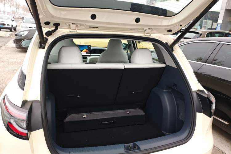 Used  Geome 2025 310km Dream Edition