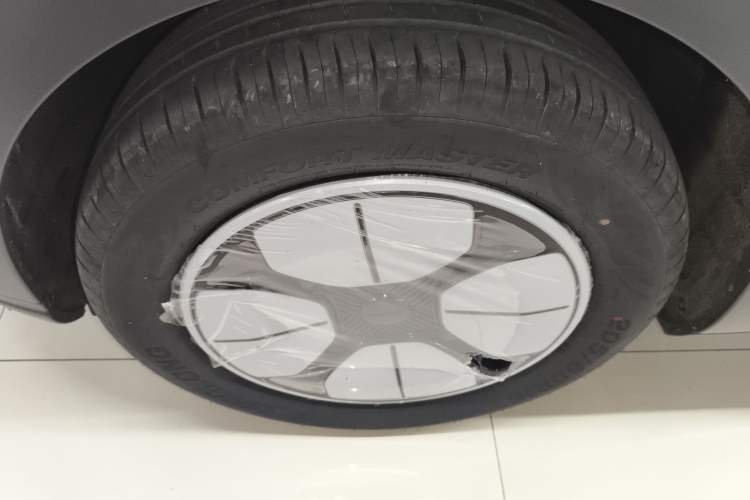 Used  Geome 2025 310km Youth Edition
