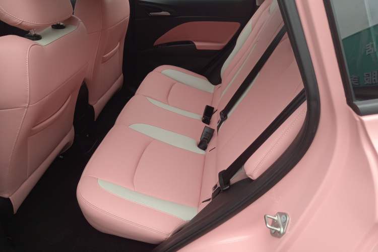 Used NETA V 2021 Witch Edition
