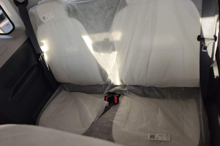 Used  Panda 2025 210 km – Yuanqi Bear