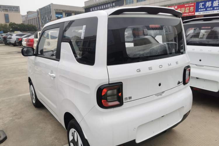 Used  Panda 2025 210 km – Yuanqi Bear
