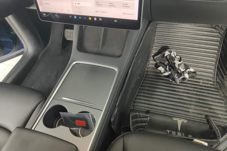 Used Tesla Model Y 2021 Standard Range Rear-Wheel Drive Version
