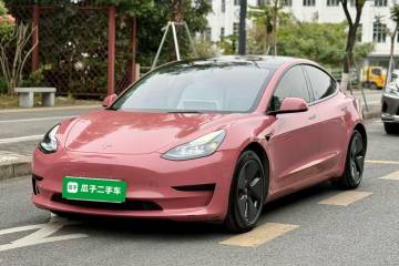 Used Tesla Model 3 2022 Rear-Wheel-Drive Version