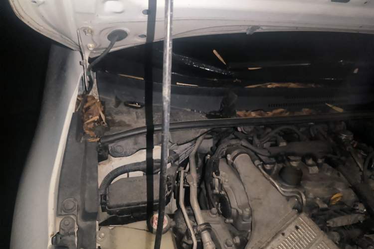 Used Toyota Corolla 2019 1.2T S-CVT GL Pioneer Edition
