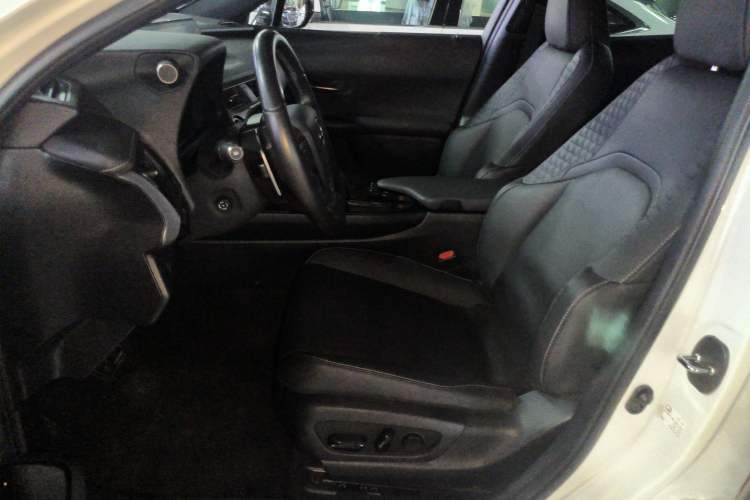 Used Lexus UX New Energy 2020 300e Pure·Joy Edition
