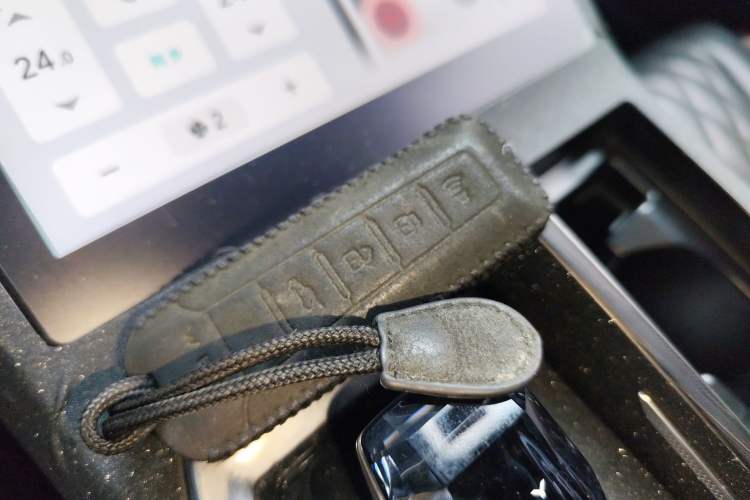 Used Wey Latte DHT 2022 1.5T DHT Extra-Large Cup
