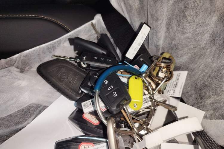 Used Geely Auto Monjaro L 2024 2.0TD DCT EVO Two-Wheel Drive Long-Range Version
