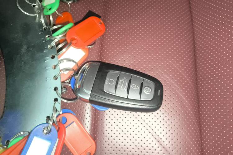 Used Hongqi E-HS9 2022 660 km Range Flagway Edition Six Seats
