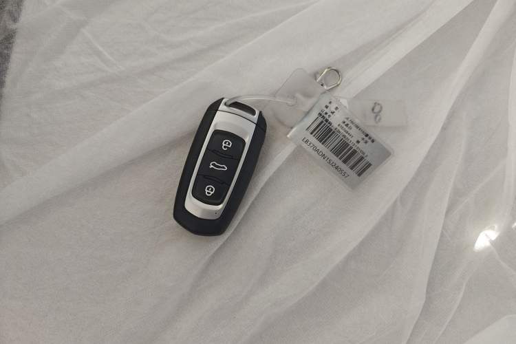 Used  Panda 2025 210 km – Yuanqi Bear