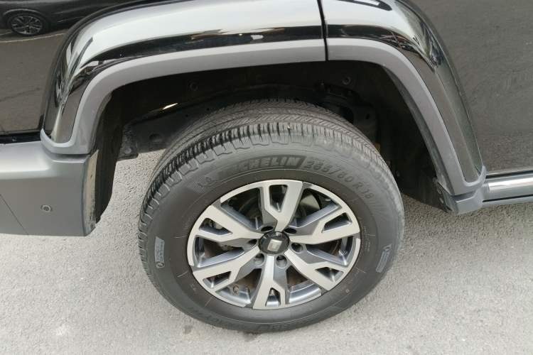 Used Tank 300 2024 2.0T Crosser
