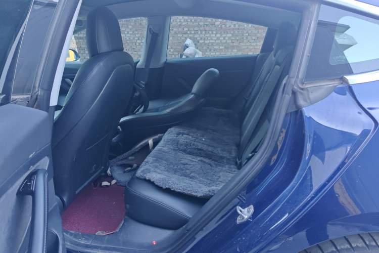 Used Tesla Model 3 2020 Standard Range Rear-Wheel Drive Upgraded Version
