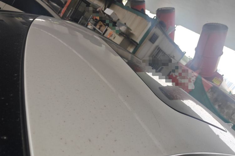 Used Haval F7x 2019 1.5T Two-Wheel Drive Smart & Trendy Edition
