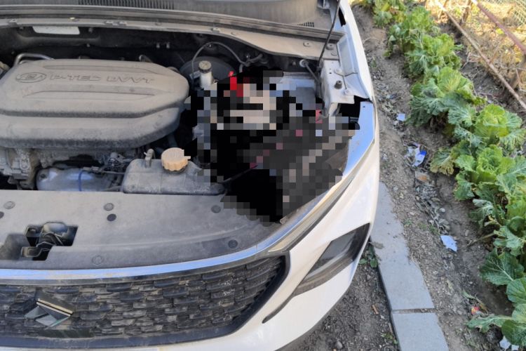 Used Baojun RS-3 2020 1.5L Manual Smart Comfort Edition
