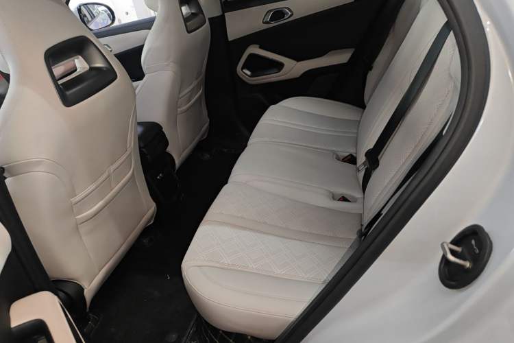 Used BYD Yuan UP 2024 401KM Leading Edition
