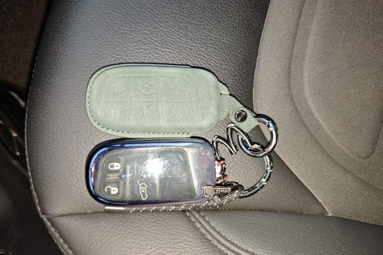 Used  Renegade 2019 220T Automatic Night Eagle Edition