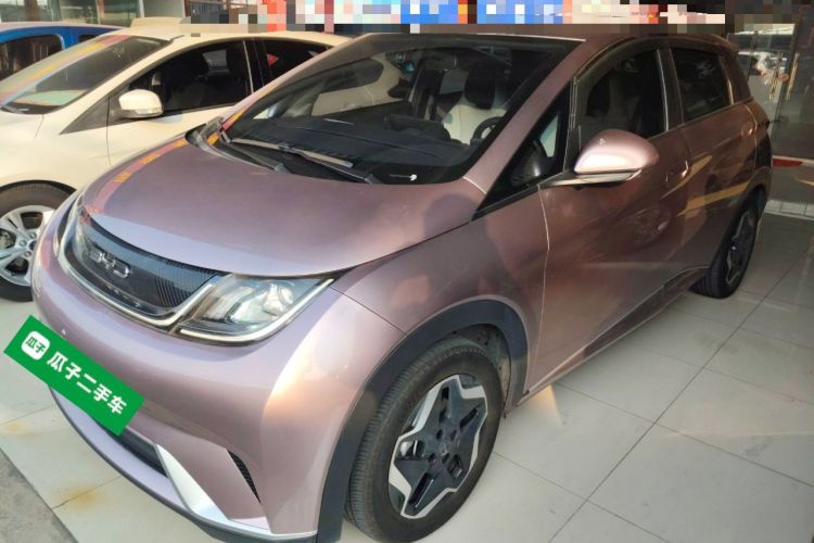 Used BYD Dolphin 2021 405 km Free Version