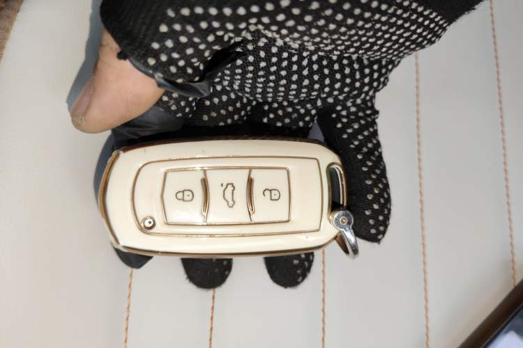 Used  Panda 2023 Panda Mini 200km Endurance Bear