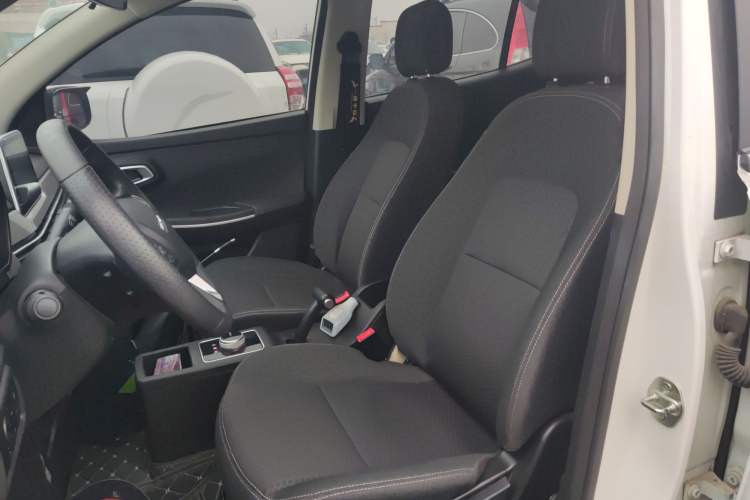 Used Dayun Yuehu 2022 30.66 kWh Two-Wheel Drive Standard Version