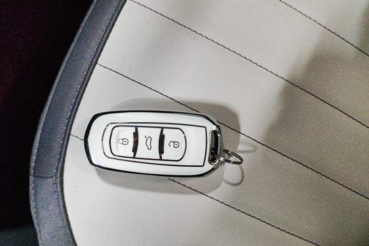 Used  Panda 2024 200km Panda Kart
