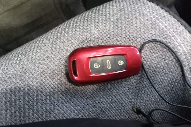 Used  Panda 2023 Panda Mini 200km Endurance Bear
