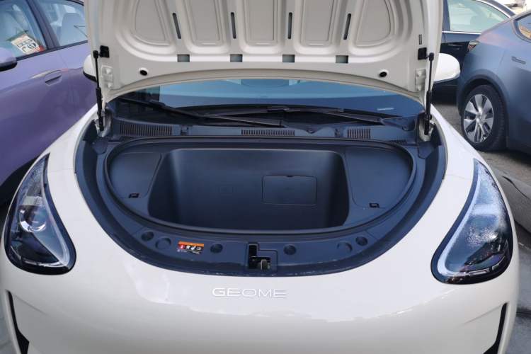 Used  Geome 2025 310km Youth Edition
