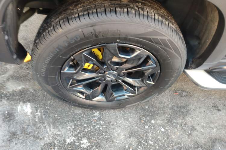 Used Haval DARGO 2021 2.0T DCT 4x4 Chinese Rural Dog Edition
