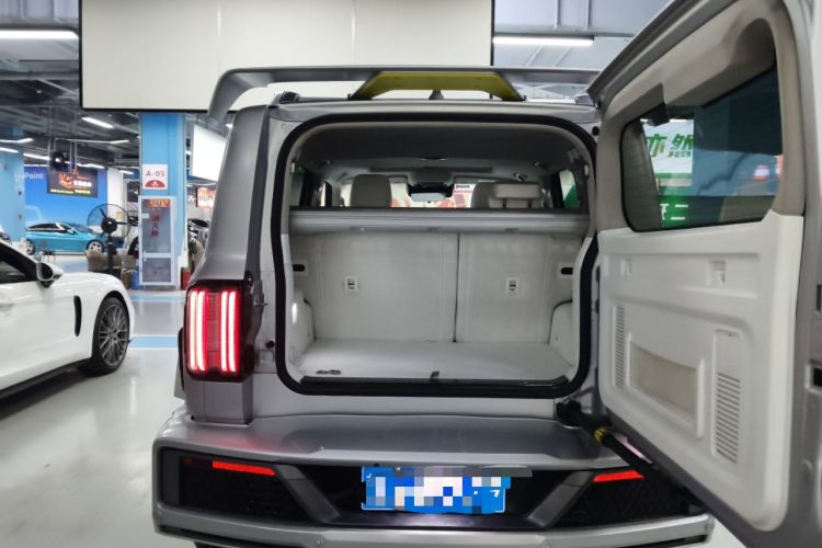 Used  Tank 300 2021 2.0T Cyber Tank
