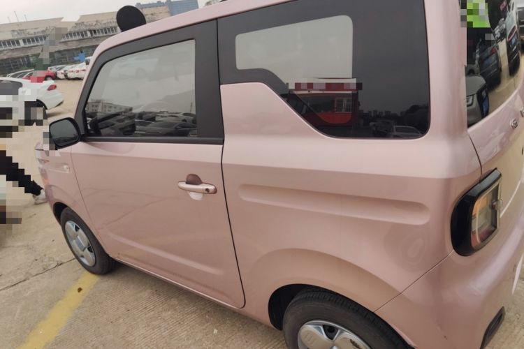 Used  Panda 2023 Panda Mini 200km Endurance Bear
