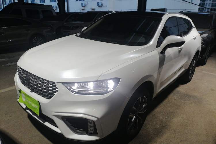 Used Wey VV5 2021 1.5T Two-Wheel Drive Color Pioneer