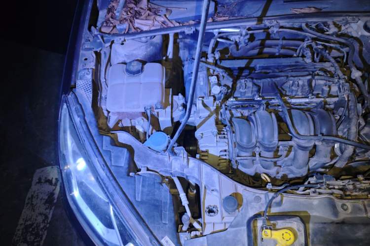 Used Ford Escort 2015 1.5L Automatic Fashion Model