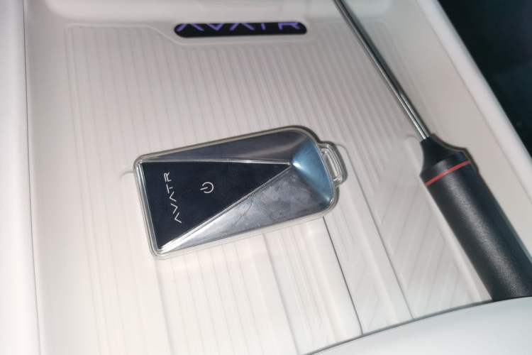 Used  06 2025 Ultra Pure Electric Edition
