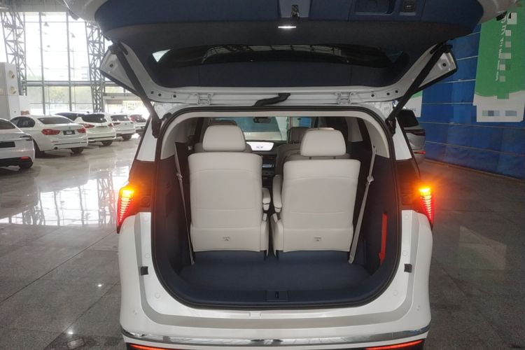 Used Buick GL8 New Energy 2024 Lu Zun Luxury Edition 6-Seater
