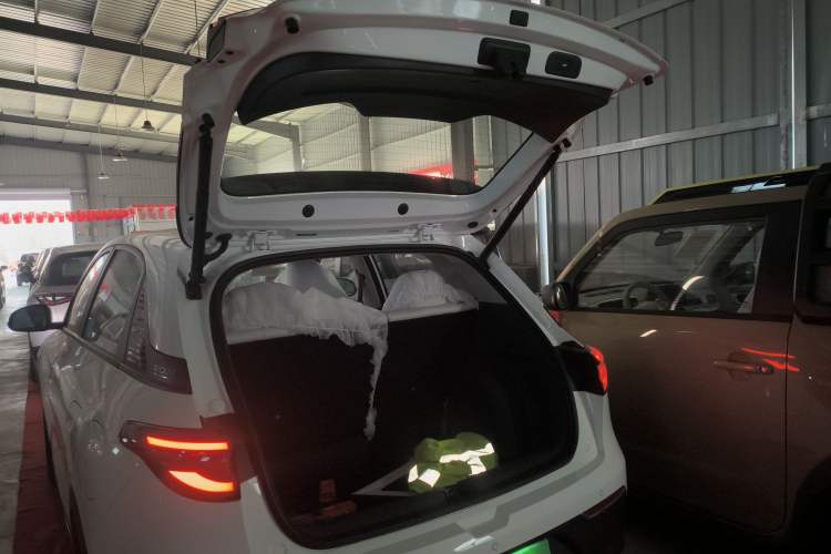 Used  Geome 2025 310km Dream Edition