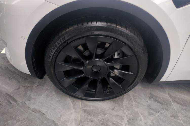 Used Tesla Model Y 2022 Revised Version Long-Range All-Wheel Drive